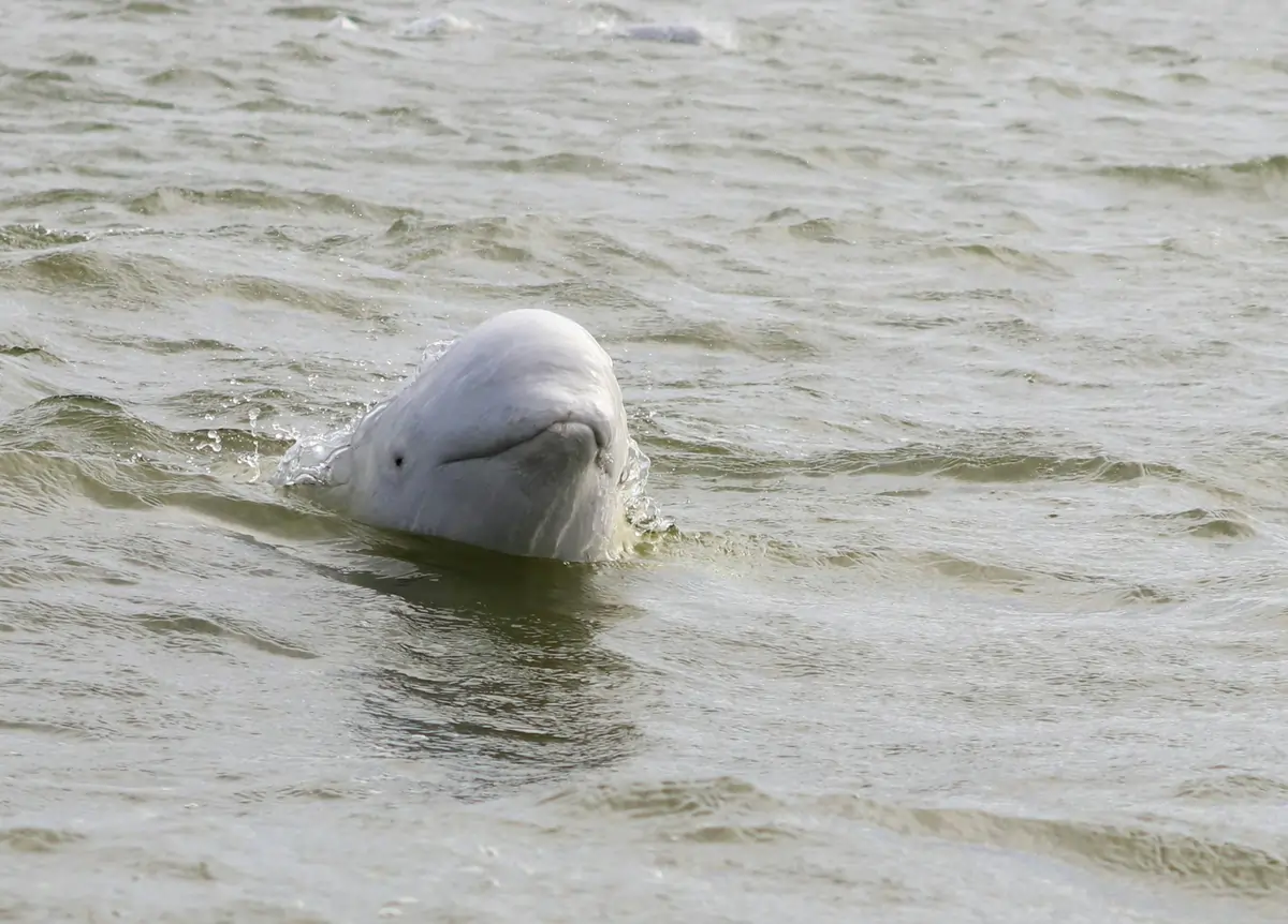 Svalbard (Noruega)