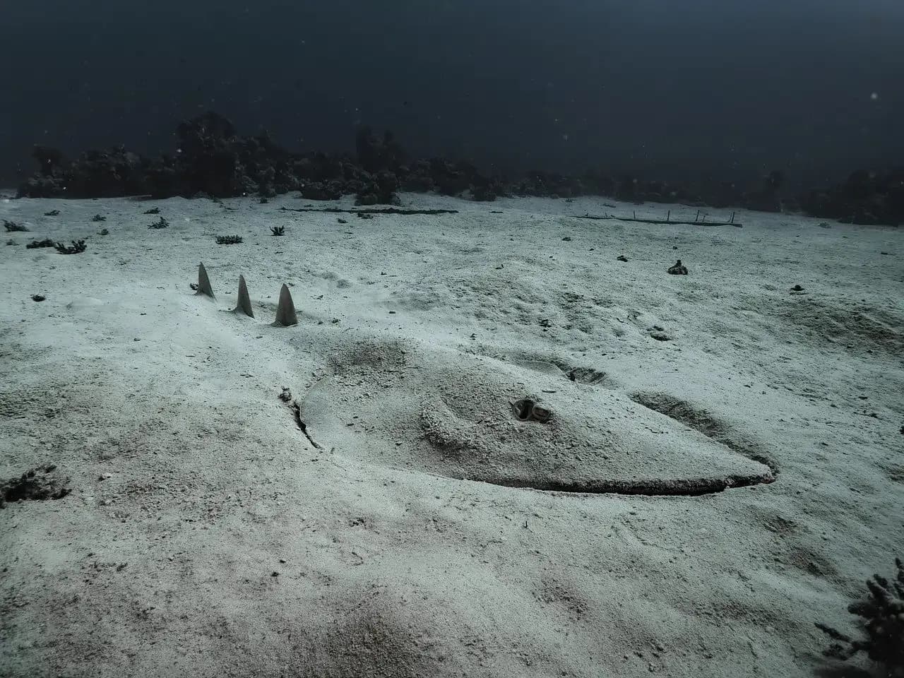 Wolf Rock (Rainbow Beach, Queensland, Australia)