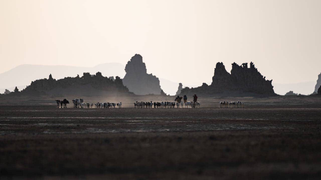 Djibouti