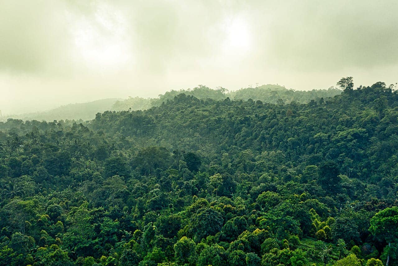 Equatorial Guinea