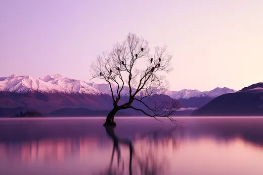 New Zealand
