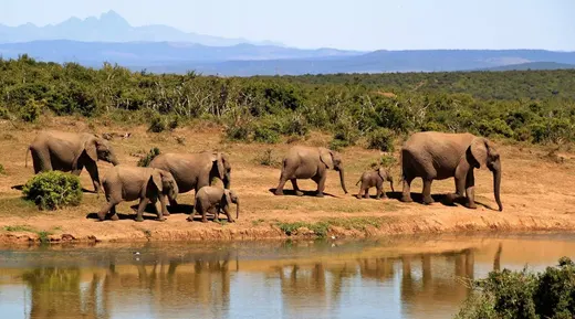 South Africa