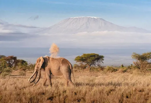 Tanzania