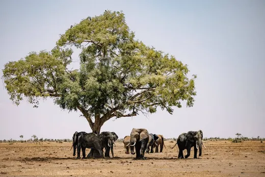 Zimbabwe