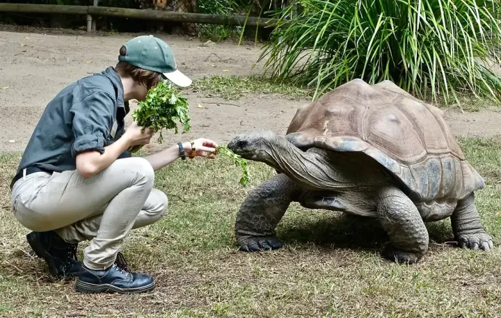 Santa Cruz Highlands, Galapagos