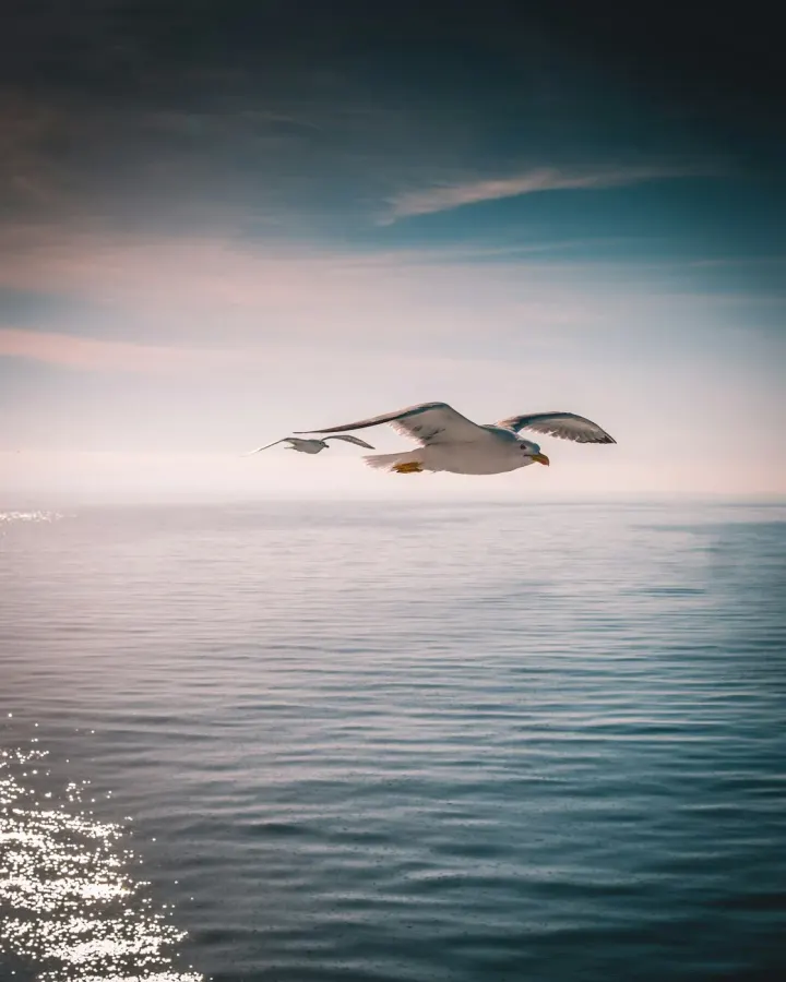 Kaikoura, New Zealand