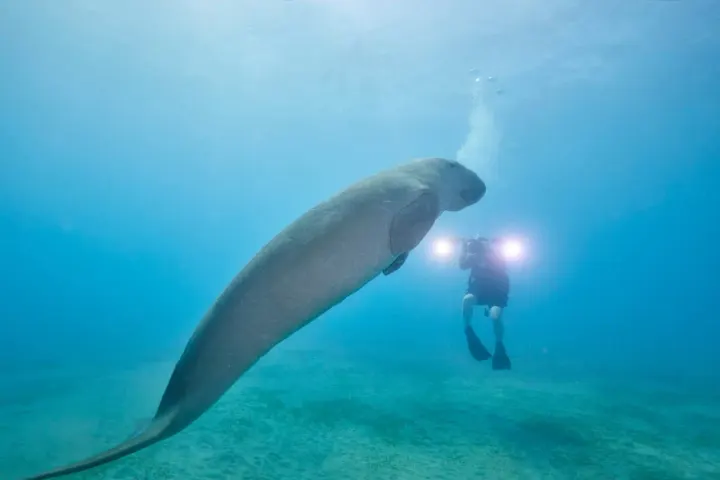 Busuanga / Coron (Palawan, Philippines)