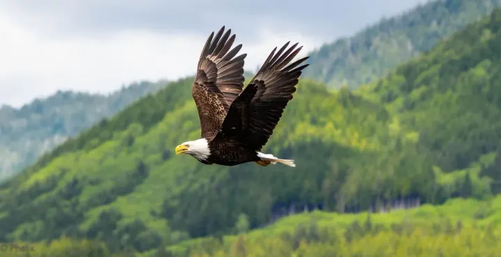 Homer, Kachemak Bay, Alaska