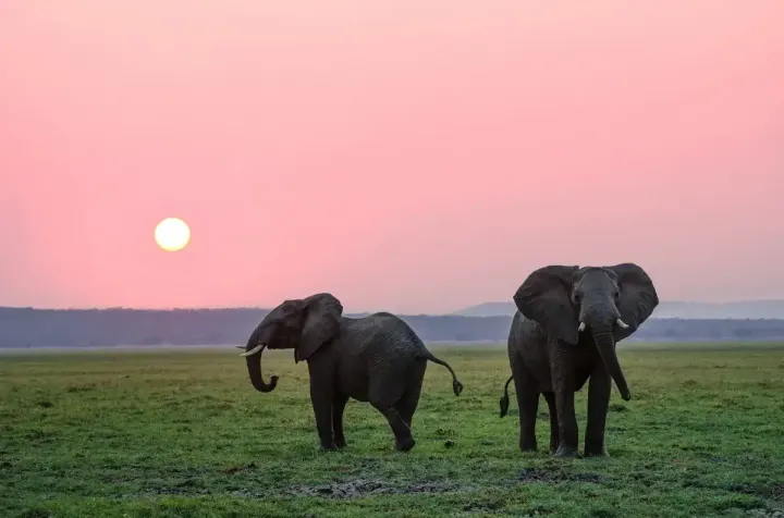 Hwange National Park (Zimbabwe)