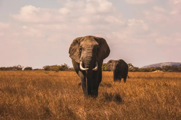 Kui Buri National Park (Thailand)