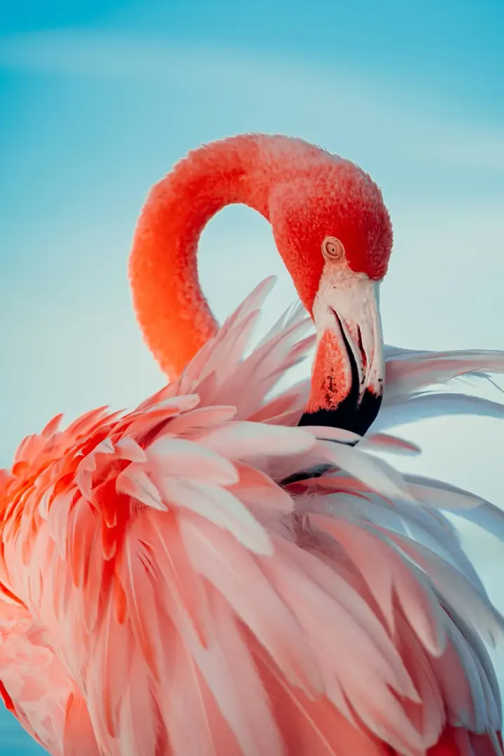 Lake Bogoria, Kenya