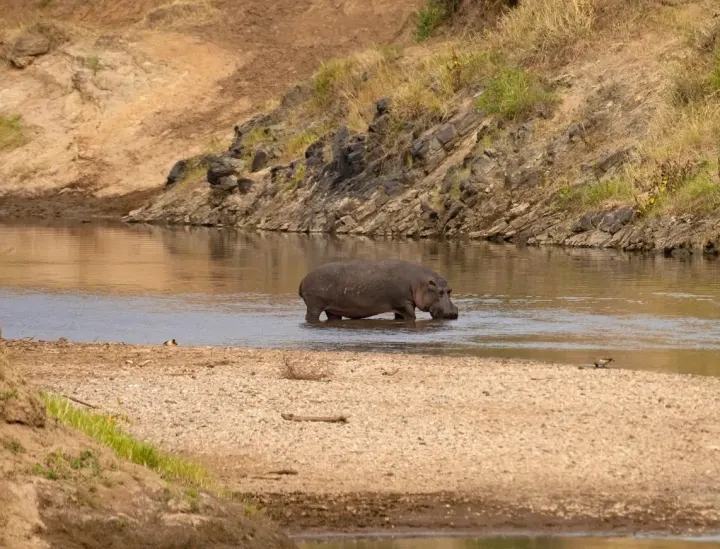 Kazinga Channel, Queen Elizabeth National Park, Uganda