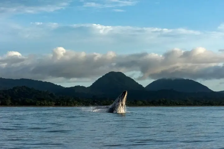 Bahia Malaga, Colombia