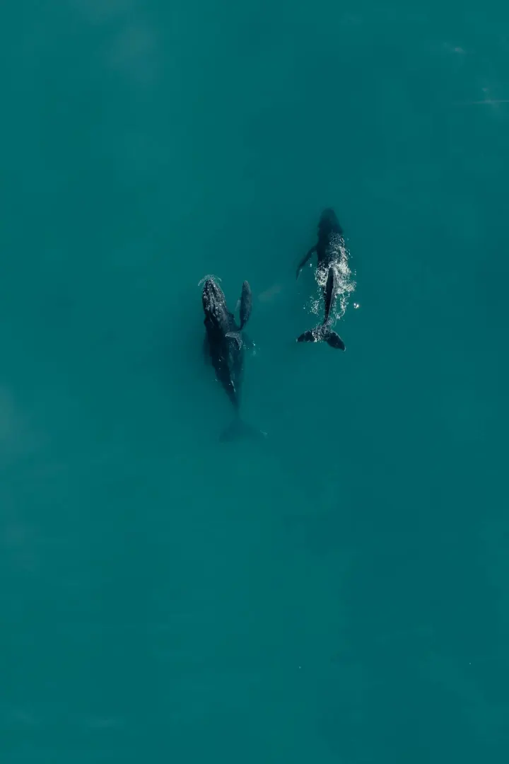 Vava'u, Tonga