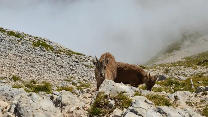 Triglav National Park (Julian Alps, Slovenia)