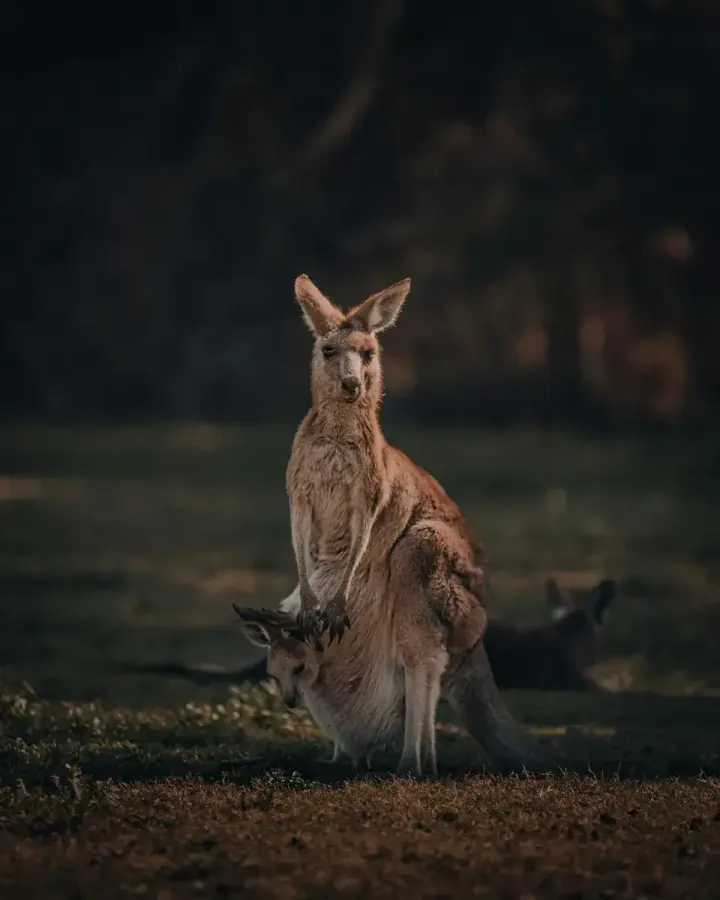 Grampians National Park (Victoria)
