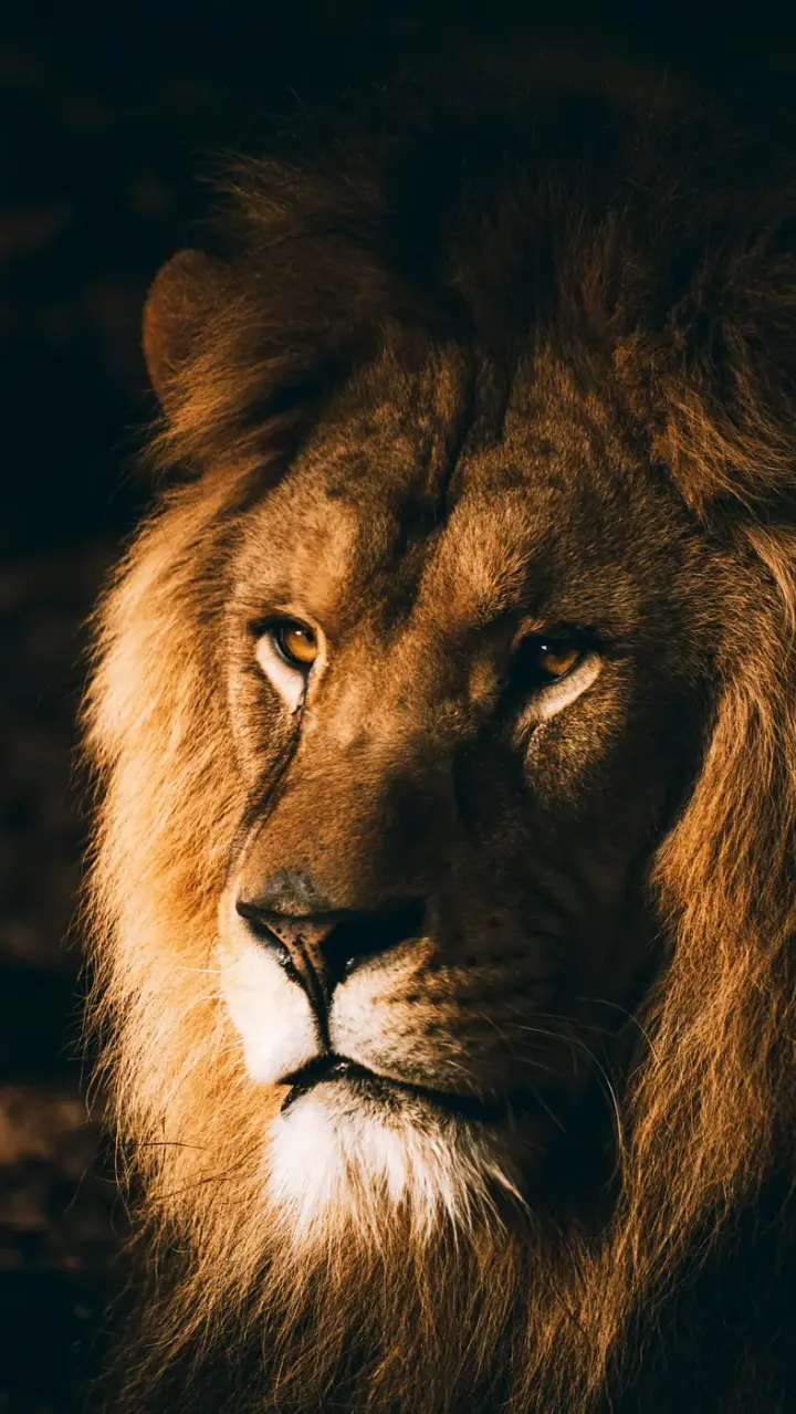Hwange National Park (Zimbabwe)