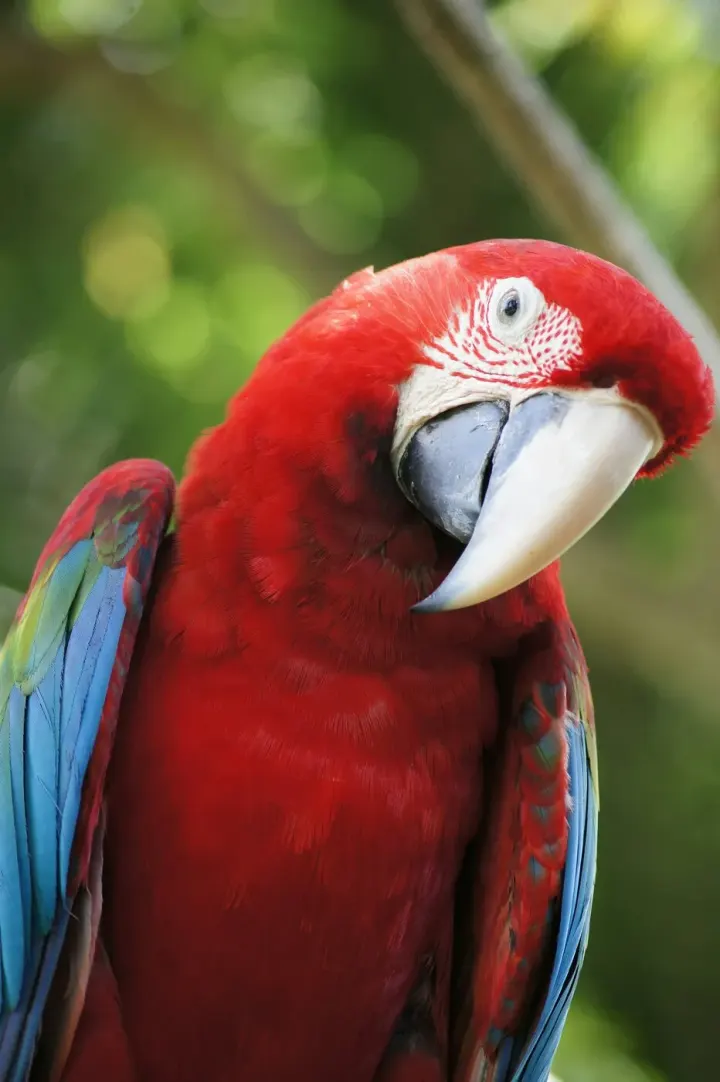 Buraco das Araras, Mato Grosso do Sul, Brazil