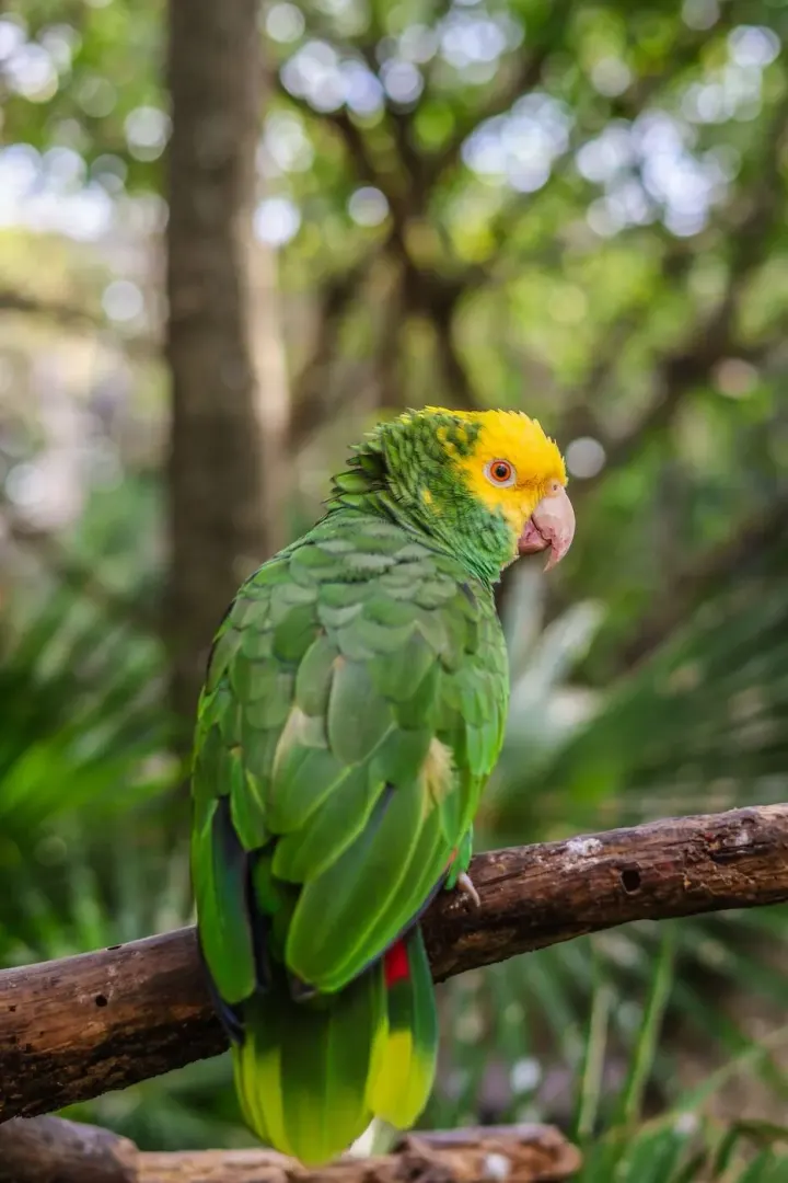 Jardin, Antioquia, Colombia
