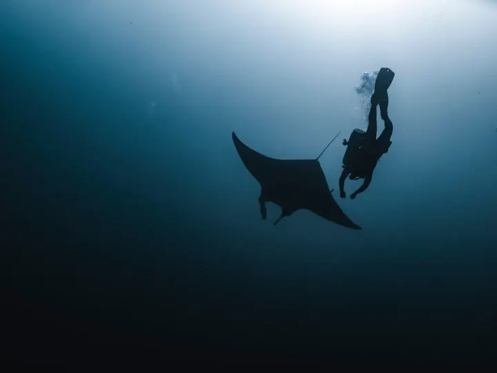 Lady Elliot Island (Great Barrier Reef, Australia)