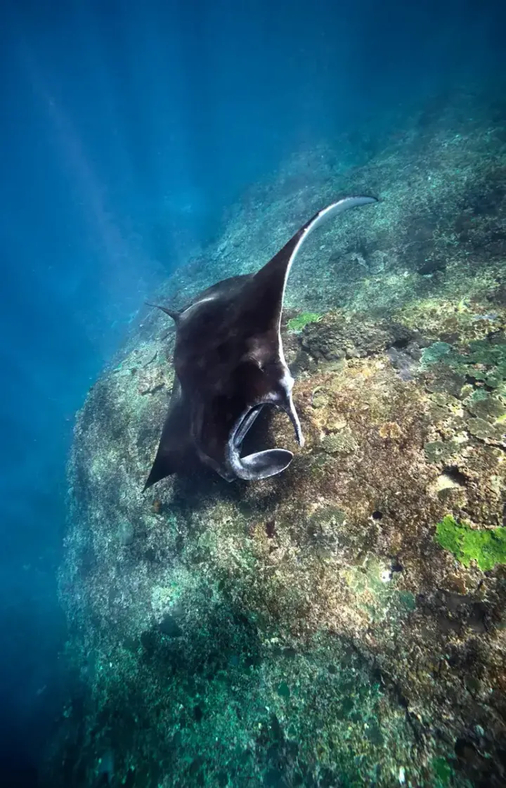 Coral Bay / Ningaloo Reef (Western Australia)