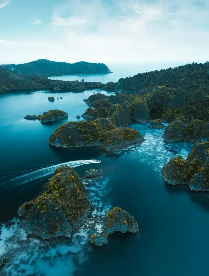 Raja Ampat / Manta Sandy (Indonesia)