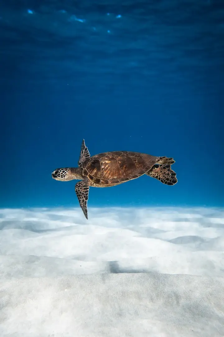 Yasawa Islands (Fiji)