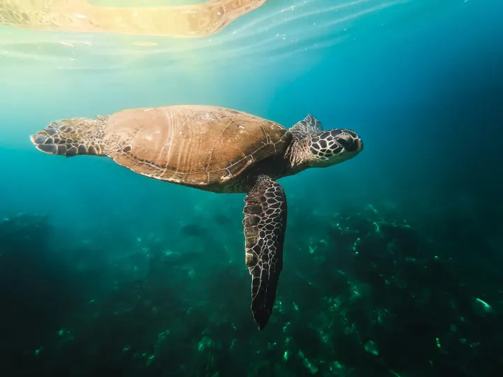 Gili Meno (Lombok, Indonesia)