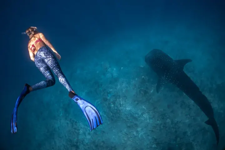 South Ari Atoll Marine Protected Area (SAMPA)
